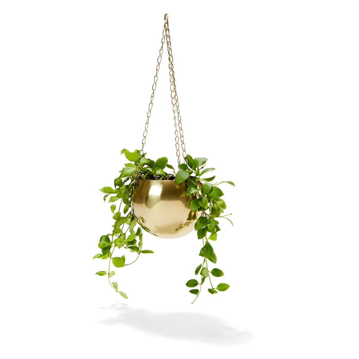 Brass Plated Hanging Planter | Kmart