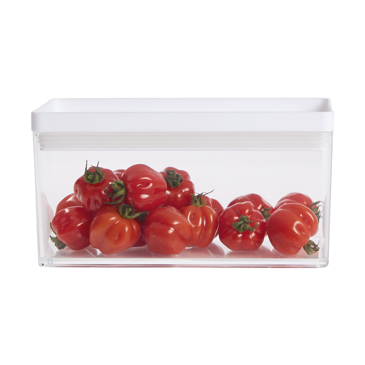 food container 1l