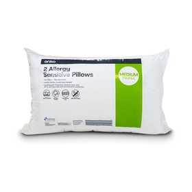 inflatable pillow kmart
