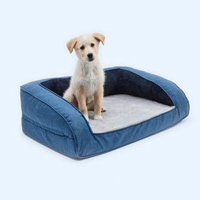 kmart memory foam dog bed