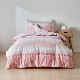 over bed canopy kmart