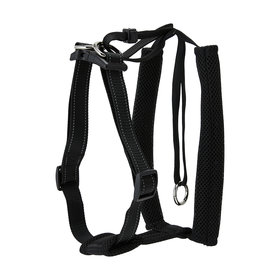 dog harness kmart