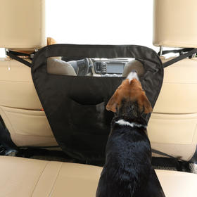 dog care collar