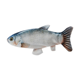 robo fish kmart