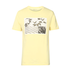 tee shirts kmart
