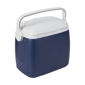 coolers cooler bags gel