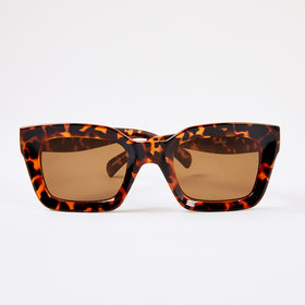 polaroid sunglasses kmart