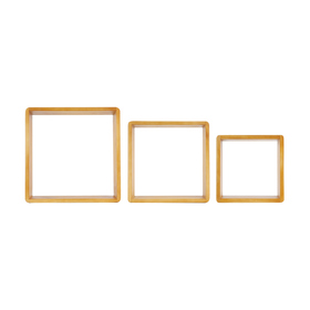3 square wall shelves