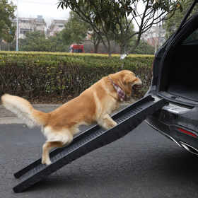 dexter contemporary cat tree