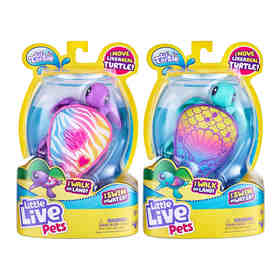 hatchimals kmart